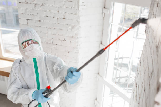 Best Mold Remediation for Healthcare Facilities  in Cross Plains, TX