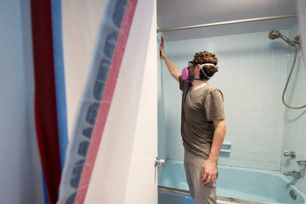 Best Attic Mold Removal  in Cross Plains, TX