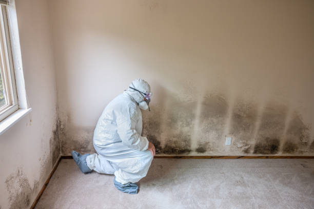 Best Airborne Mold Testing  in Cross Plains, TX