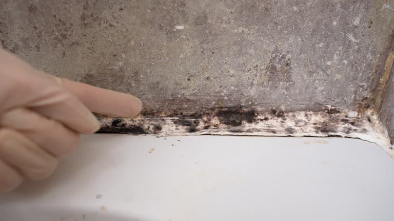 Best Indoor Air Quality Assessment  in Cross Plains, TX