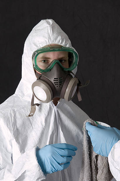 Trusted Cross Plains, TX Mold Removal Experts